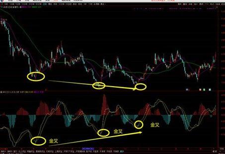 闲步
者（002351）：MACD指标DIF线上穿0轴-技能
指标上后市看多（06-27） 车型(336193)