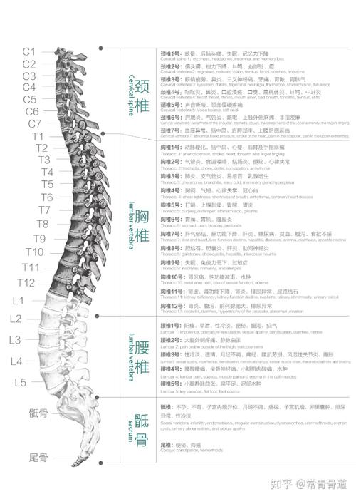 请问正常人第七颈椎那个部位是不是会突起的颈椎病如何应对颈椎病都要瘫痪吗