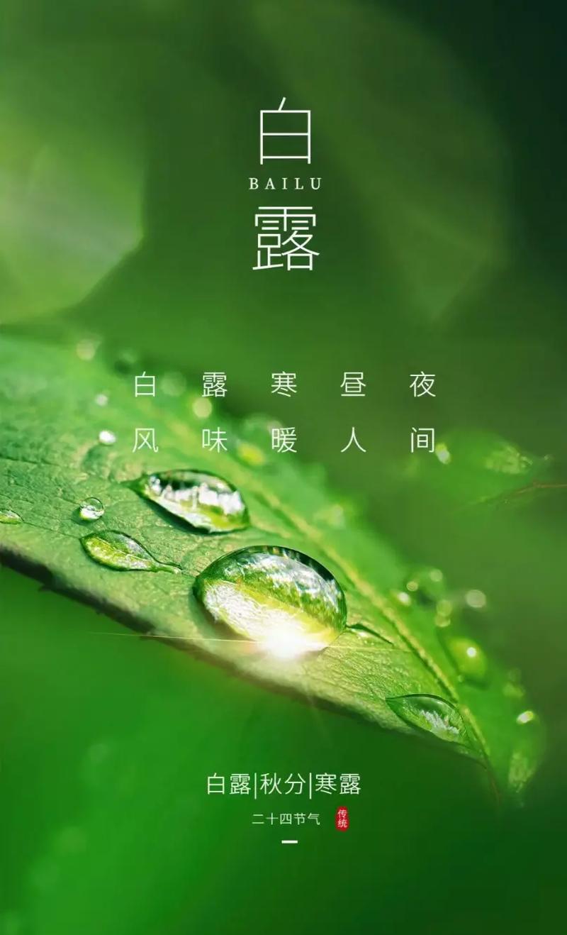 白露节气几时几分白露是最有诗意的节气白露节气雅称