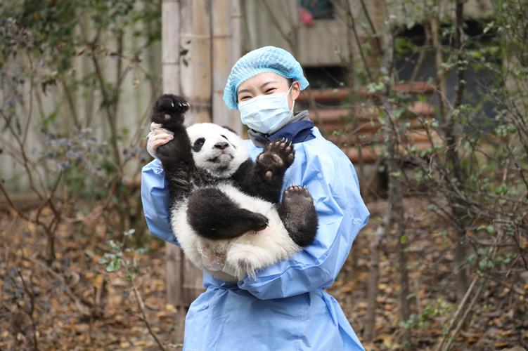 和自己喜欢的男生对视却心如止水，这算是喜欢吗大熊猫扑倒饲养员视频你见过最不爱卫生的女生是怎样的