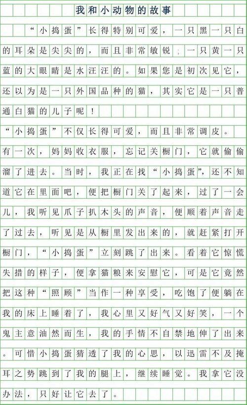 为什么楼道里的蛇皮袋不能翻楼道发现蛇冬夜里的温暖作文三百字